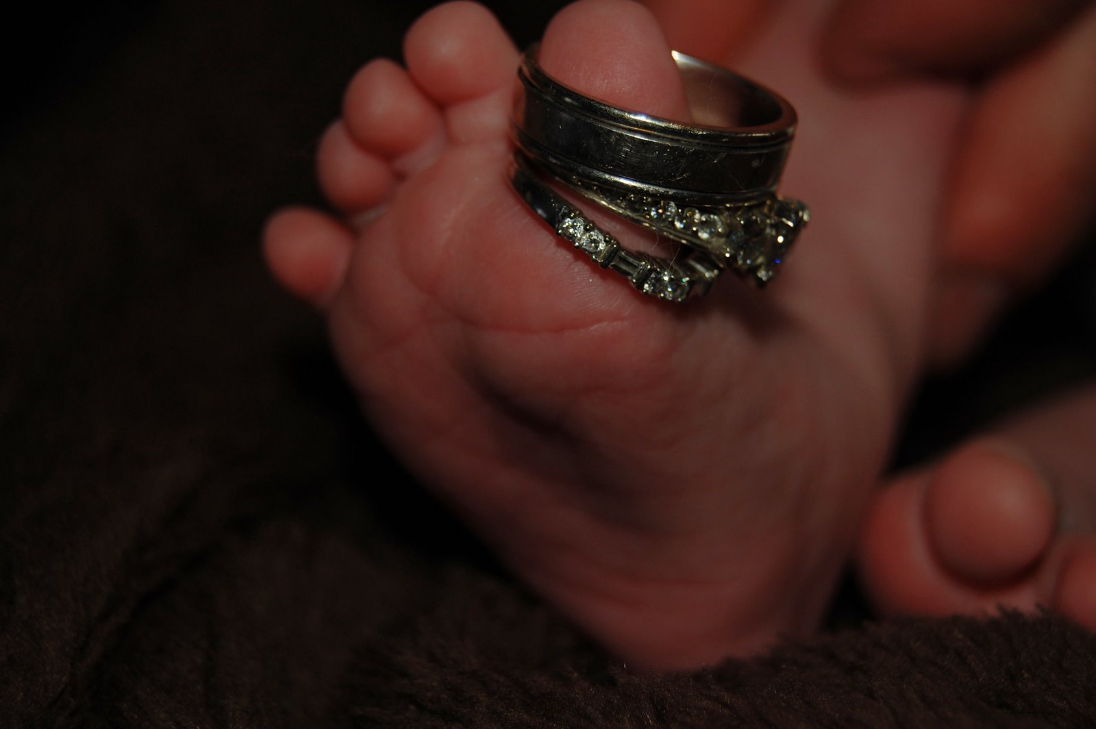 [DSC_5441.JPG]