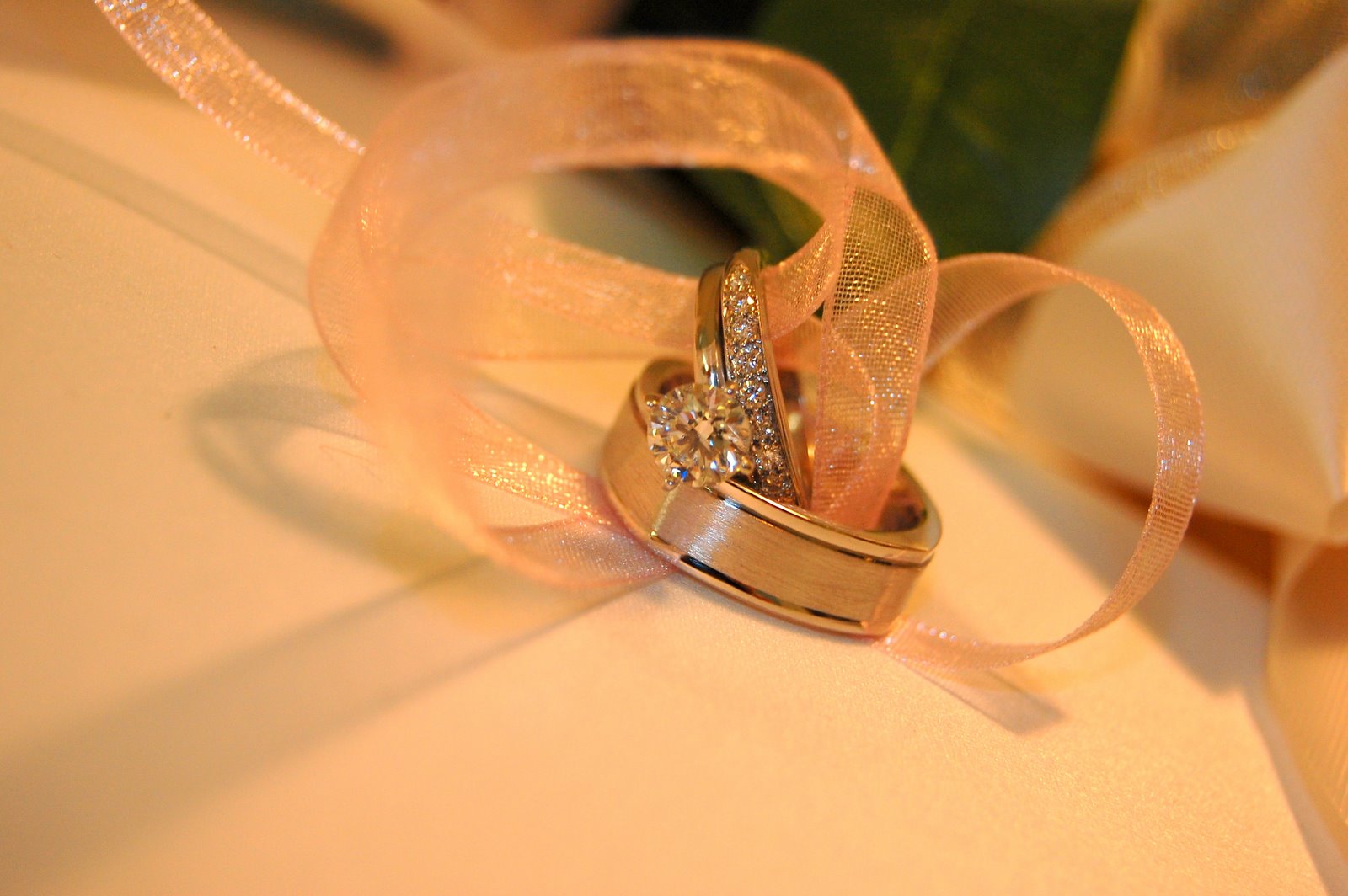 [DSC_2196.JPG]