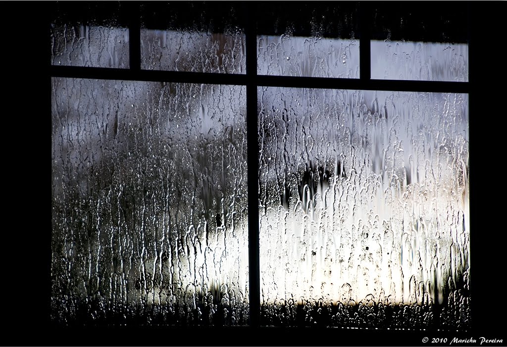 For now, we peer through a window darkly... Rain window, Rainy window, Rainy photos