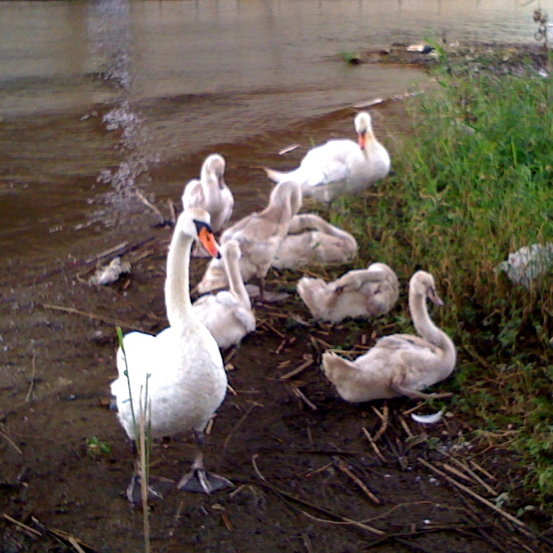 [IMG_0183-757802.jpg]