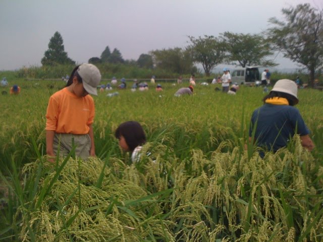 [IMG_0643-737659.jpg]