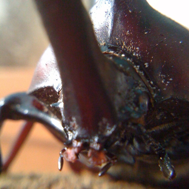 [IMG_5249-706335.jpg]