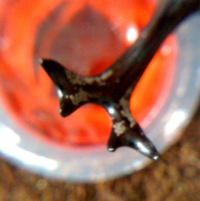 [IMG_6807-708119.jpg]