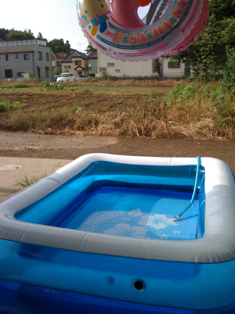 [IMG_6807-763382.jpg]