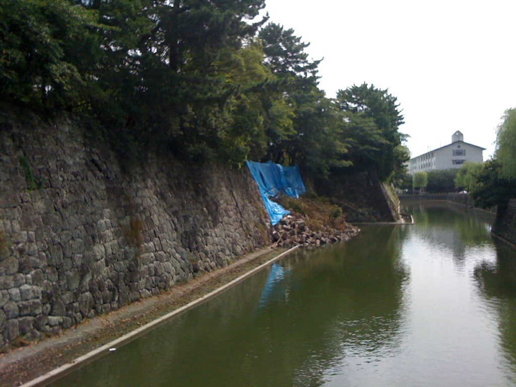 [IMG_5249-783669.jpg]