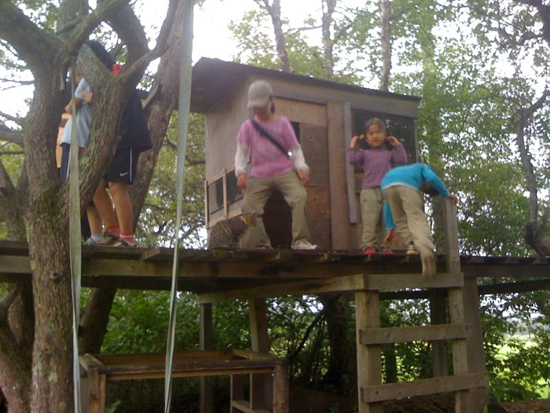 [IMG_6807-743502.jpg]