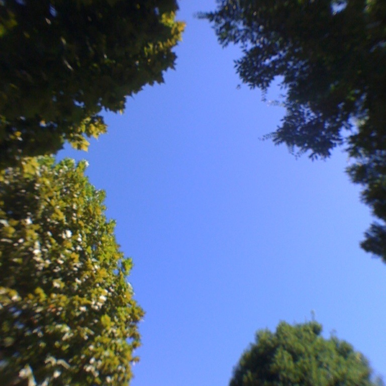 [IMG_5249-798789.jpg]