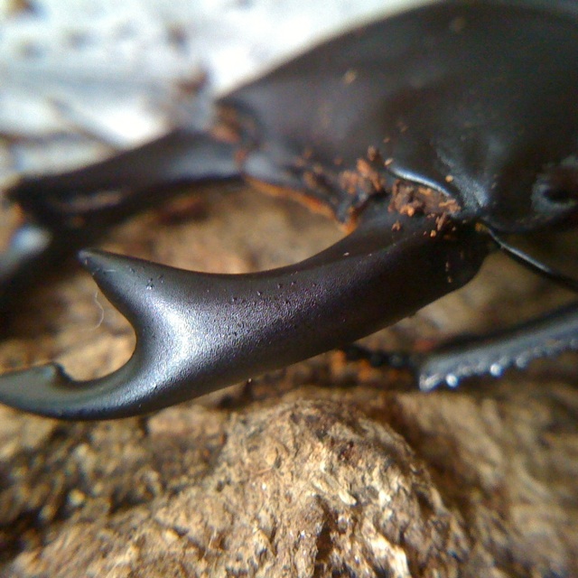 [IMG_6807-729025.jpg]