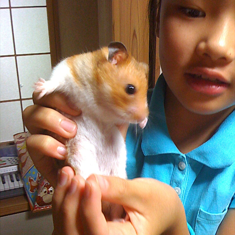 [IMG_6807-782798.jpg]