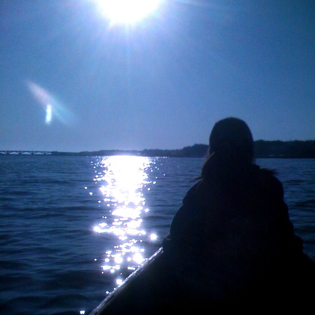 [IMG_8930-707982.jpg]