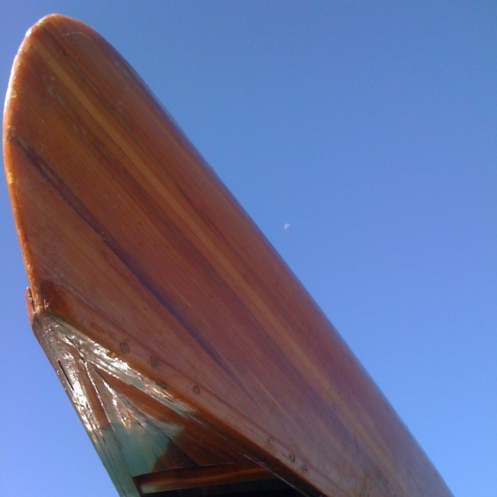 [IMG_1272-785268.jpg]