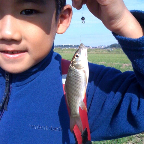 [IMG_5249-799887.jpg]