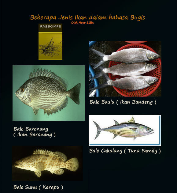 PASSOMPE: * "Intermezo" Beberapa Nama Ikan dalam Bahasa Bugis
