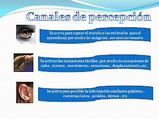 external image Diapositiva4.JPG