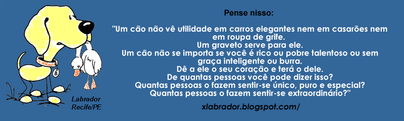 xlabrador -  "Felizes são os cães, que pelo faro descobrem os amigos." #adote