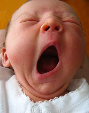 Secrets of Baby Behavior: The Science of Infant Sleep Part ...