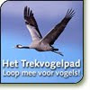 Trekvogelpad