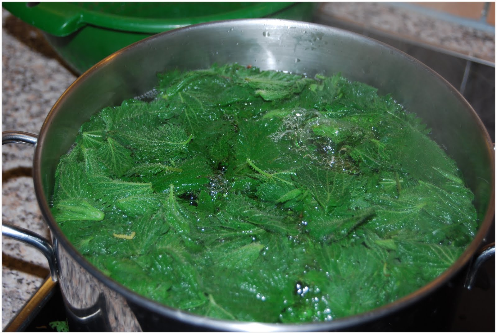 http://4.bp.blogspot.com/_1-EqzYBqwNc/S-KpqkSRosI/AAAAAAAABiQ/1gh8SeFjGAM/s1600/tortelli+con+ortiche+(14).jpg