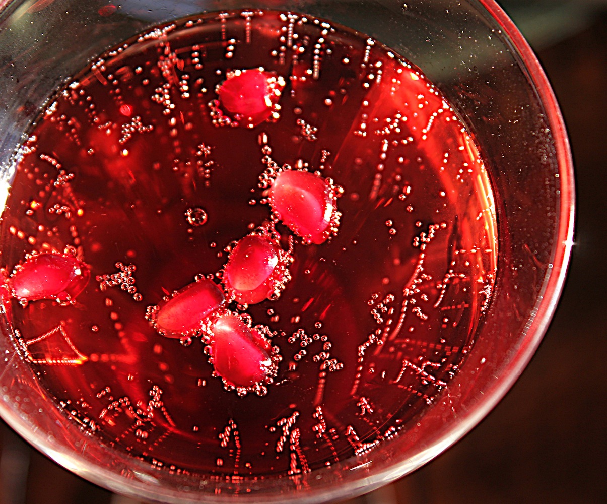 There's a Newf in My Soup! The Crown Jewel Affair Ginger Pomegranate