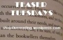 [teasertuesday.bmp]