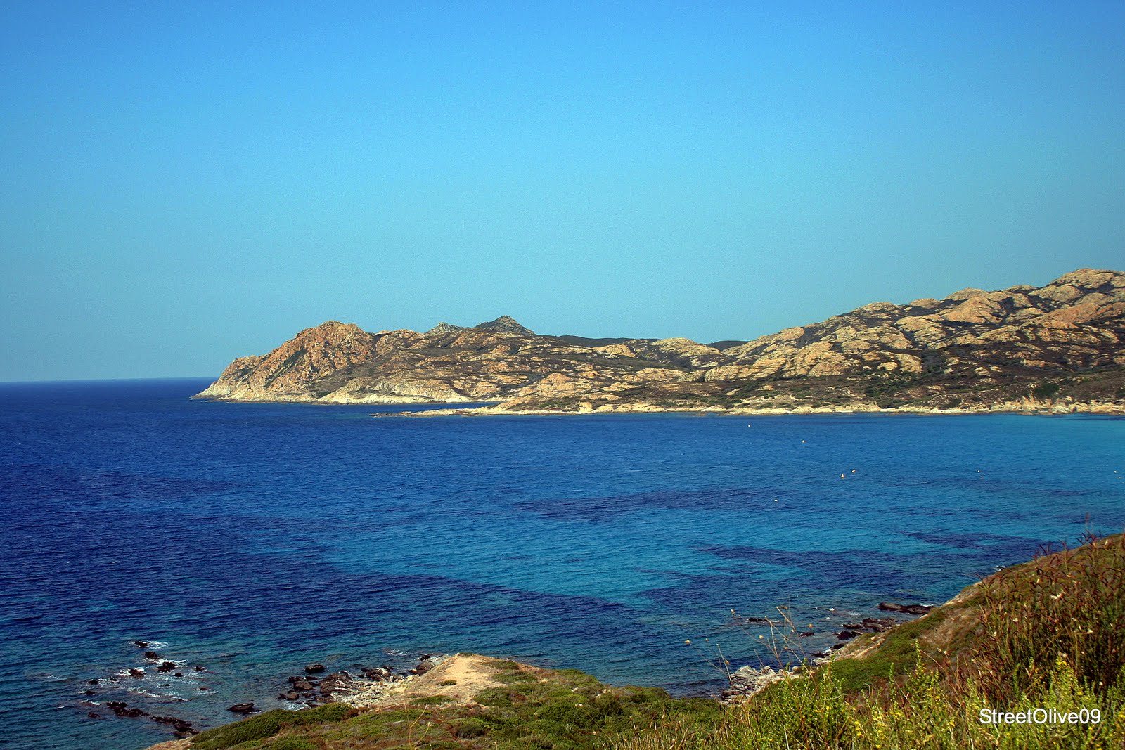 [IMG_2873.JPG]