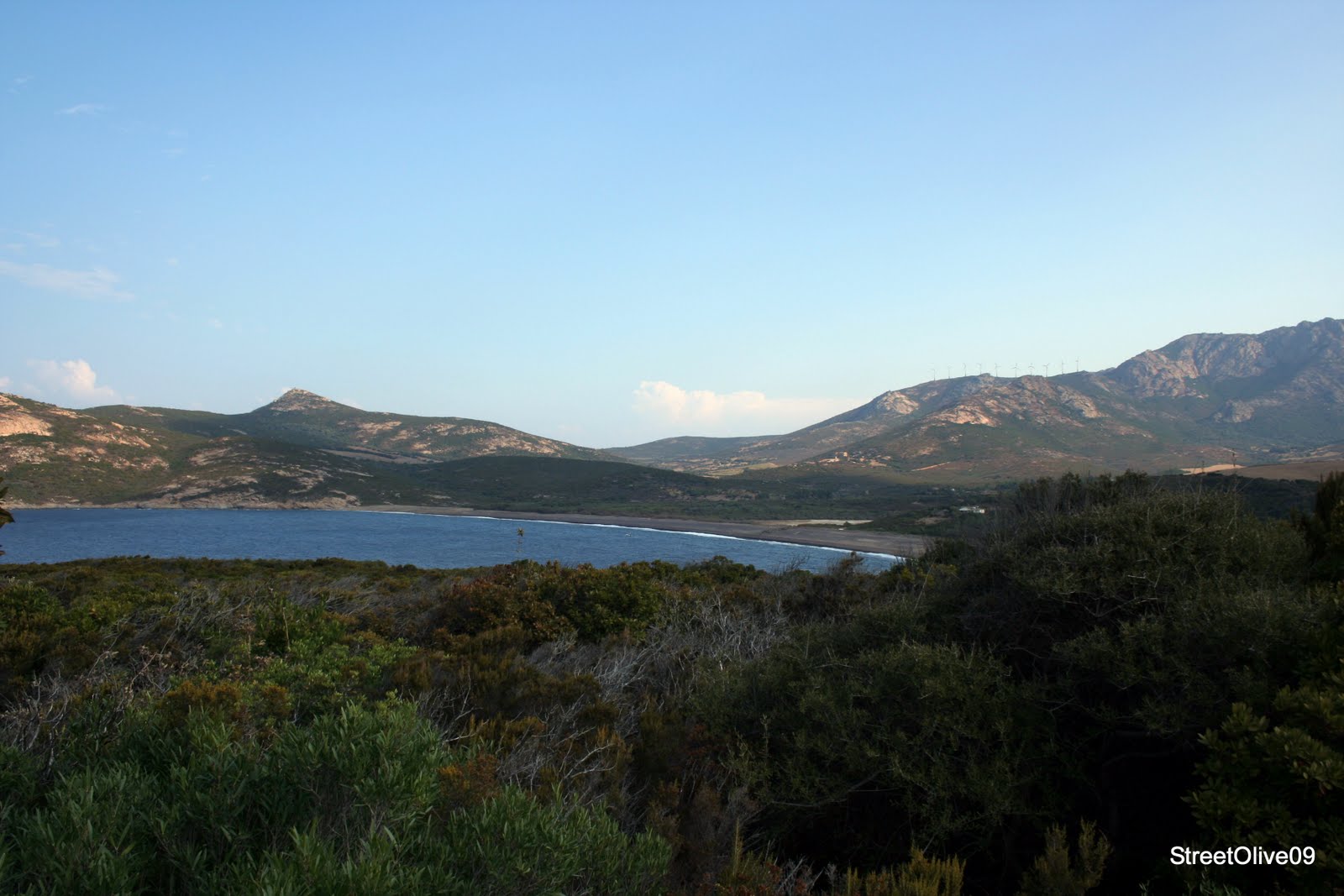 [IMG_2910.JPG]