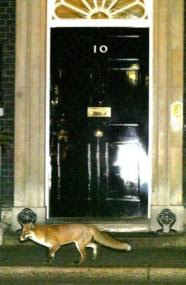Downing Street Who Lives Where | RM. Downing Street Who Lives Where | RM.
