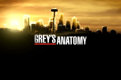 http://4.bp.blogspot.com/_11T4HEFMTBk/TITx4eKYOgI/AAAAAAAAAX0/li_iRKi7AlM/s1600/greys-anatomy.jpg