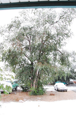 Snow in Septeber from my new front porch