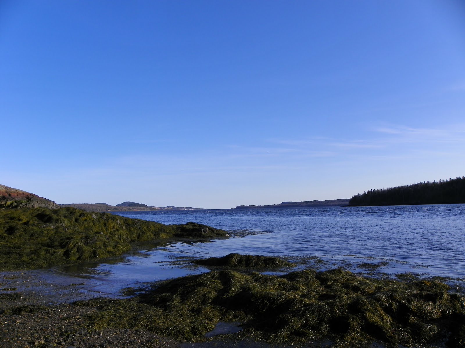 The Adventures of Joshua and Tilley Spoon Island Evening Hike, Part 4