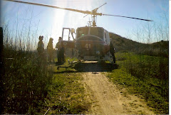 BICYCLE ACCIDENT January 14th 2009