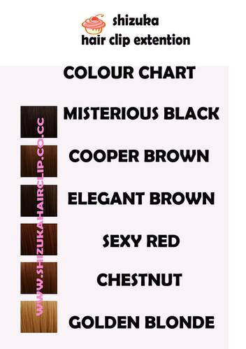 Dark Brown Hair Chart. Colour Chart Shizuka Hair Clip