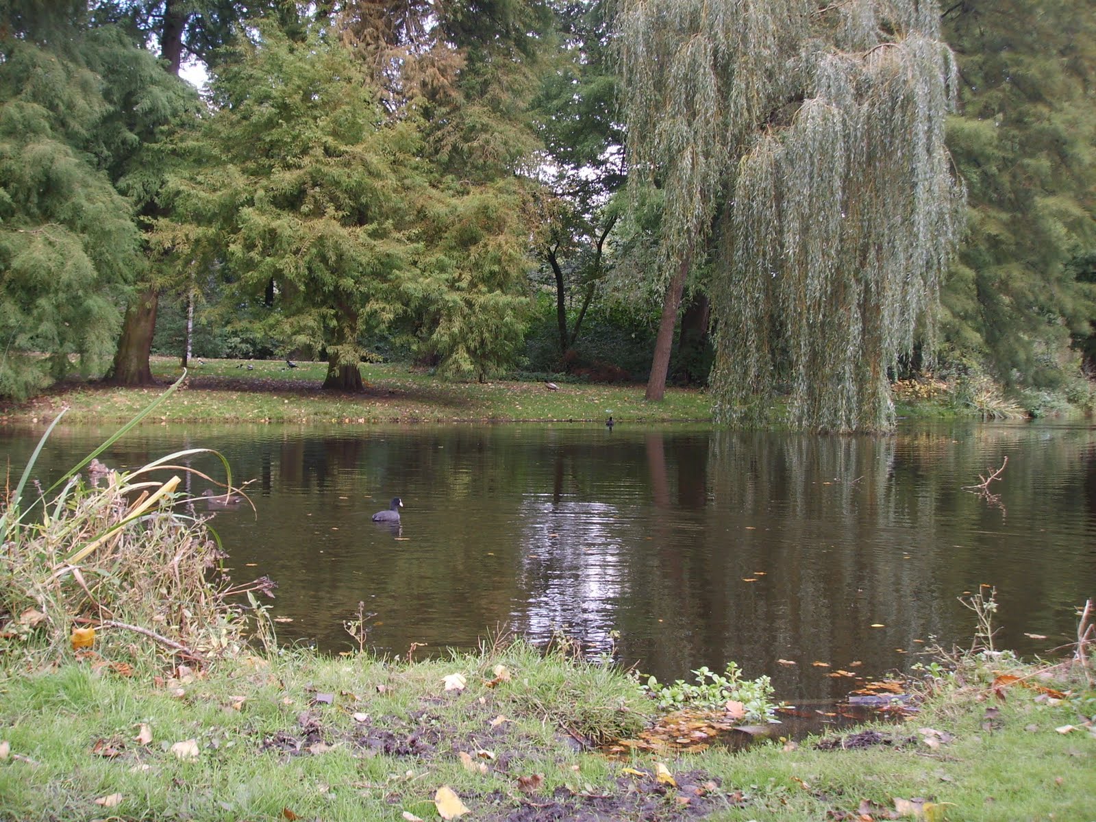 [SSM13118.JPG]
