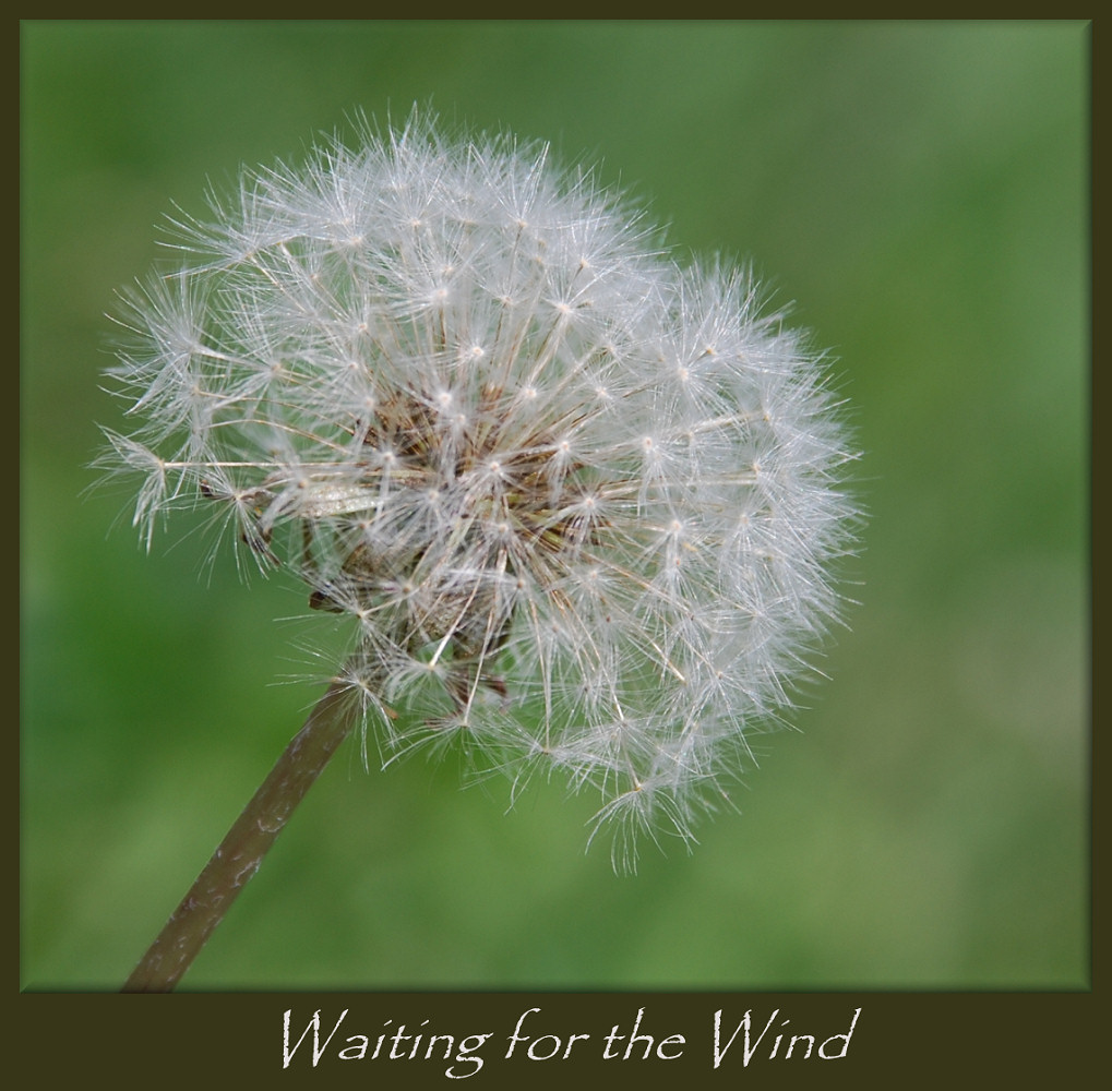 [DSC_6787WaitingForWind.jpg]