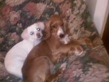 Pepe y Sasha