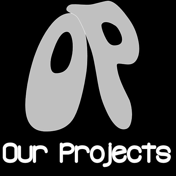 Our Projects