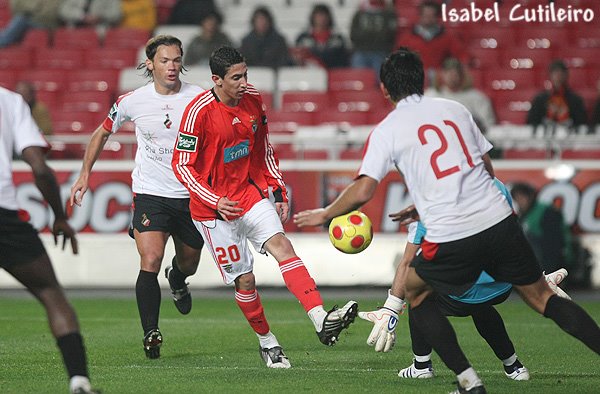 [TL+slbxolhanense0809+1981.JPG]