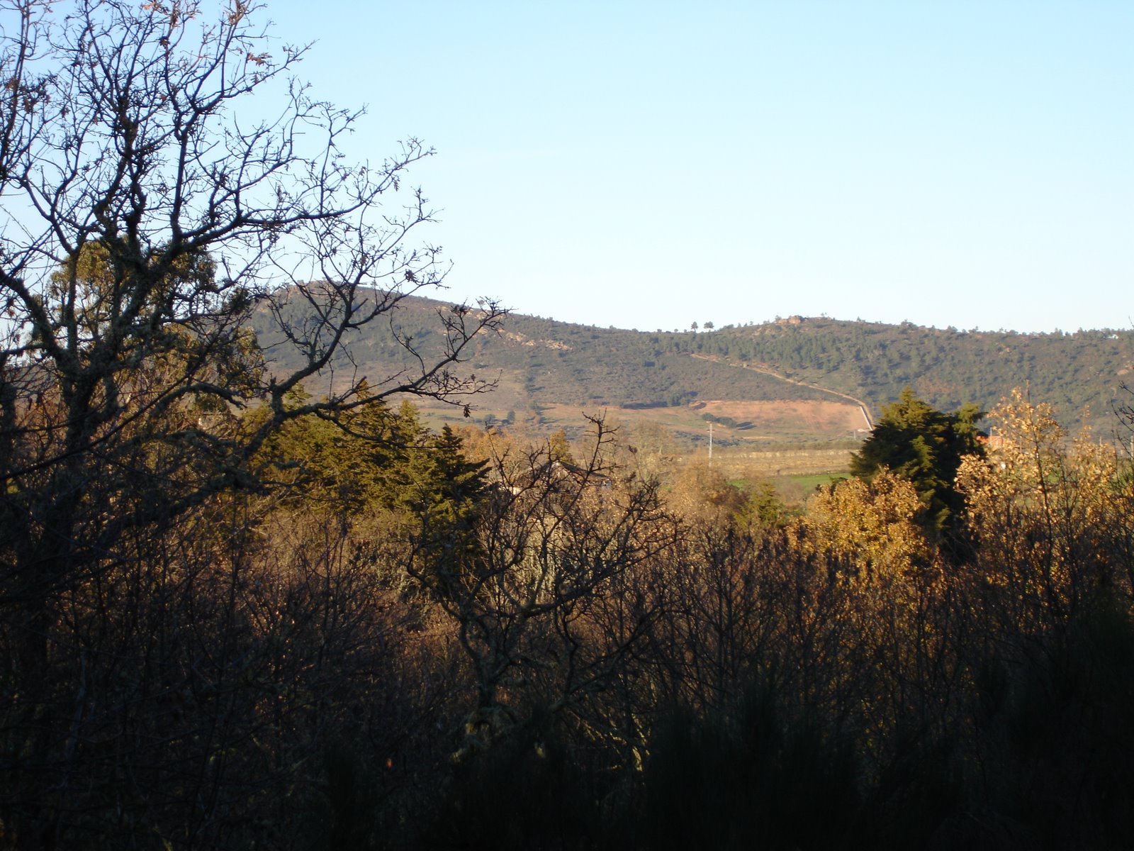 [DSC02604.JPG]