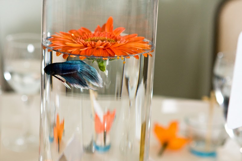 iDoItMyself DIY Fish Centerpieces