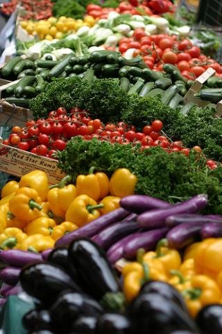 [vegtal.bmp]