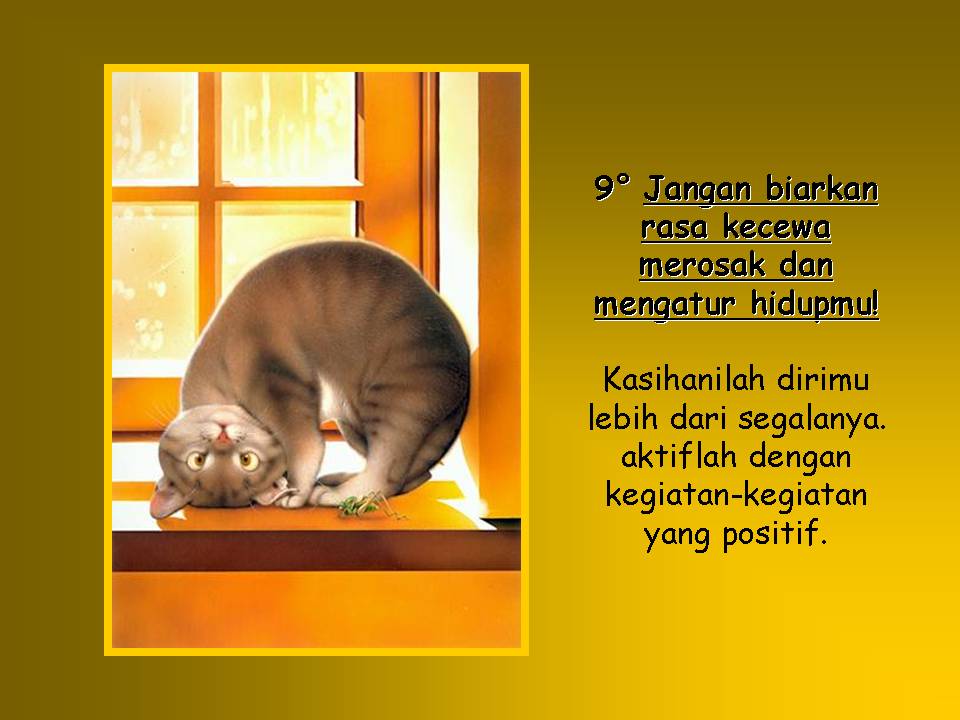 [Slide7-738824.JPG]