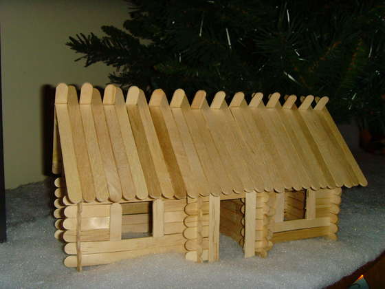 Craft Stick