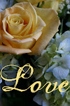 Hydrangea & Roses