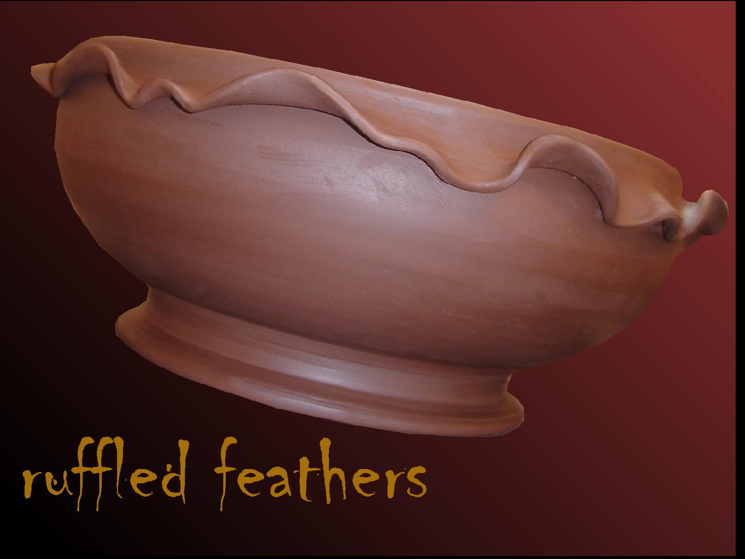 [FeathersRuffled.jpg]