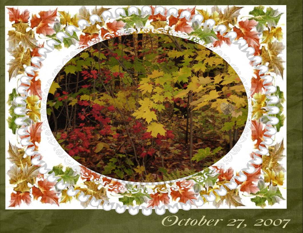 [ThroughTheLeaves.JPG]