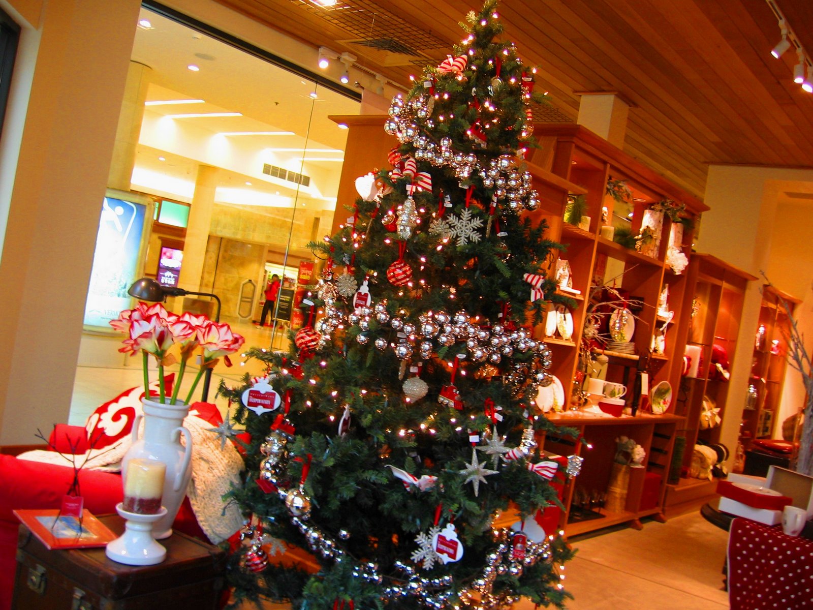 [PotteryBarnTree.jpg]