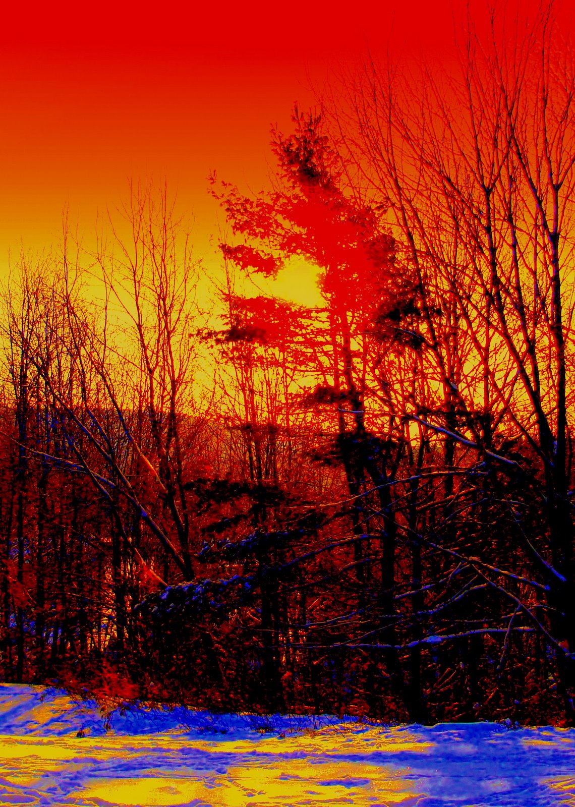 [OrangeYellowSunrise.jpg]