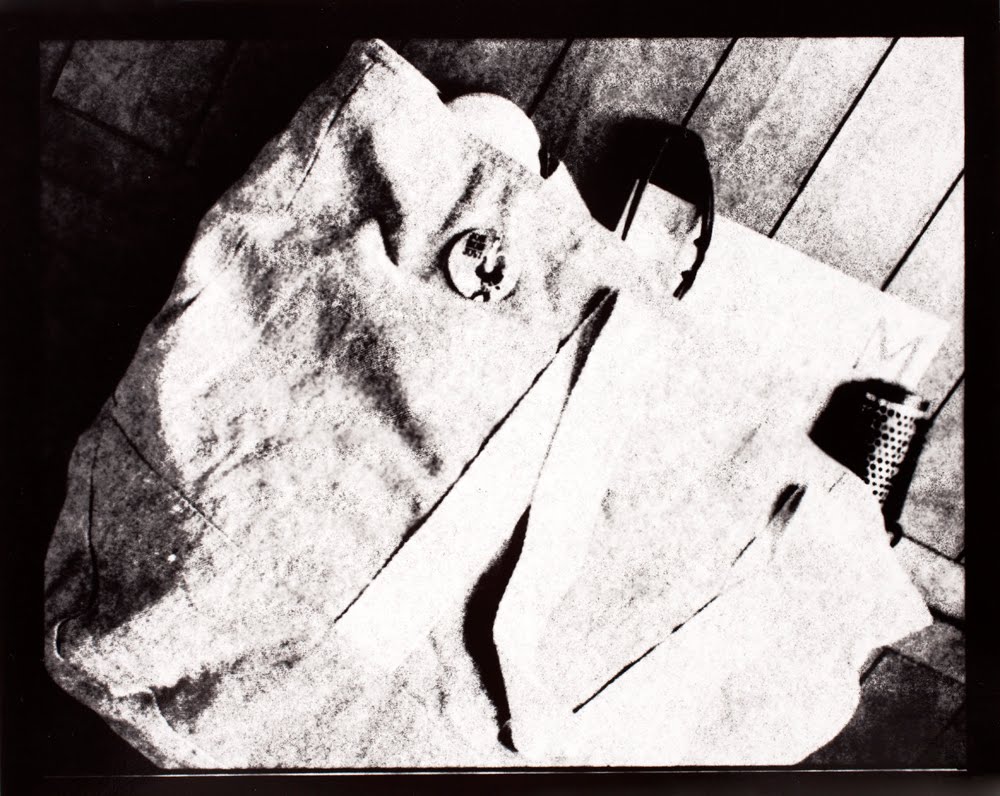 Michele Manna Diptych Paper Negative