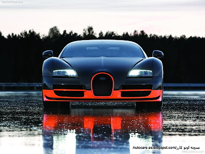 bugatti sport bugatti sport