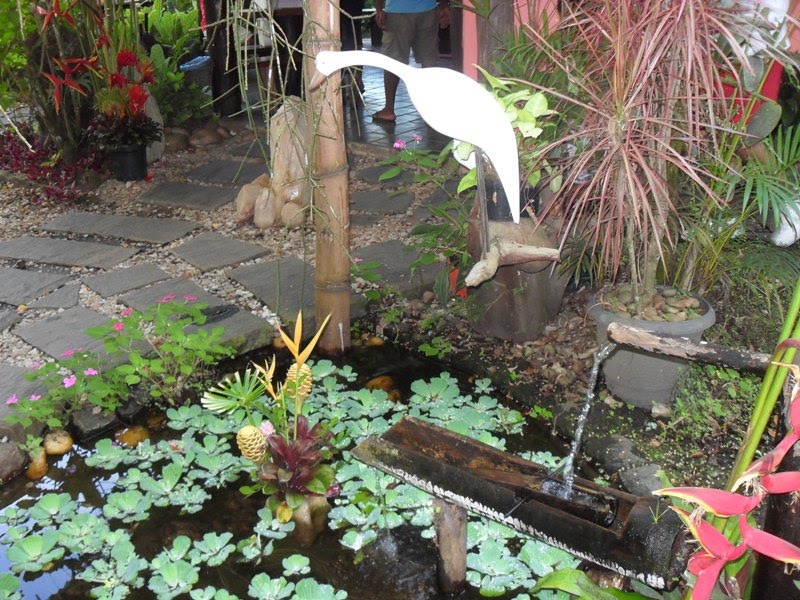 [SDC11554.JPG]
